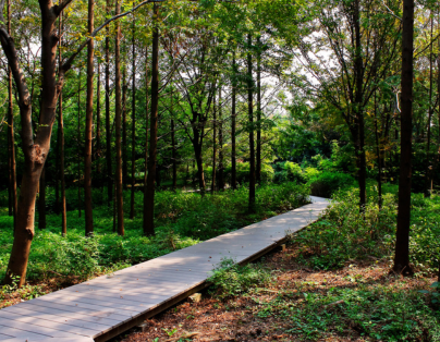 五星台北圓山 小百岳東眼山森林.角板山二日- 贈小費